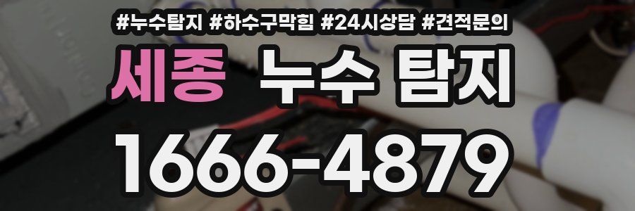 세종 누수 탐지