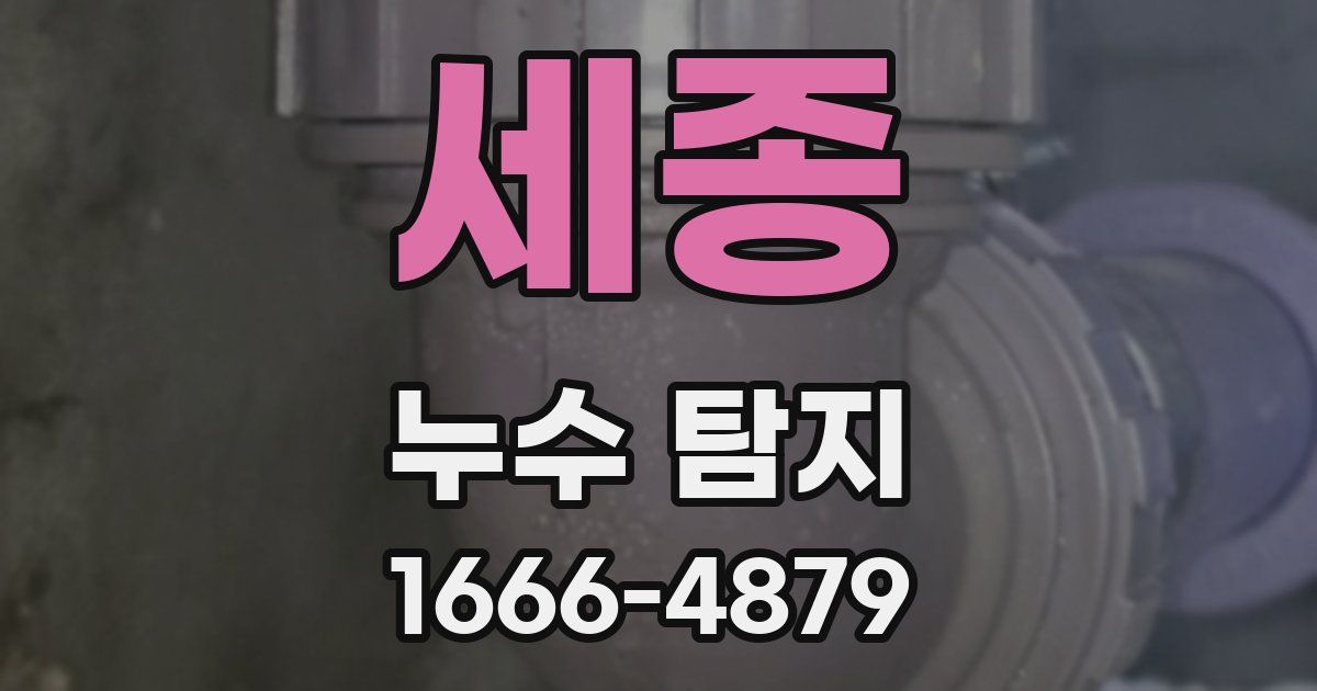 세종 누수 탐지