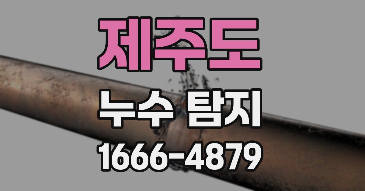 제주도 누수 탐지