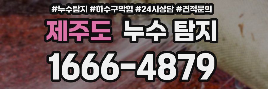 제주도 누수 탐지