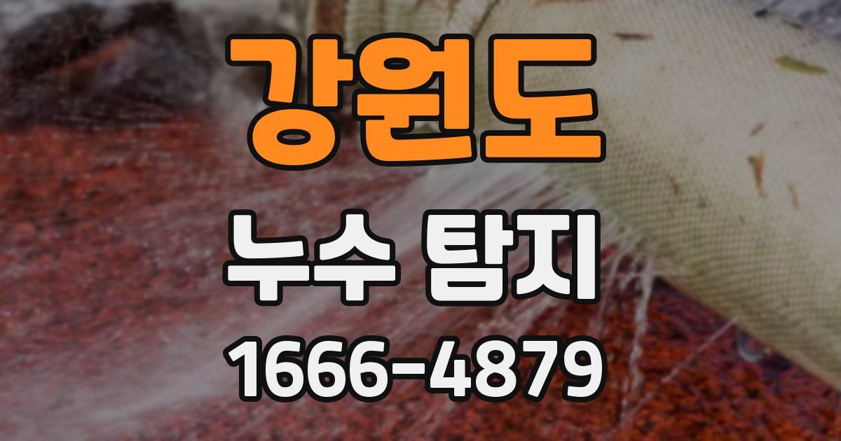 강원도 누수 탐지