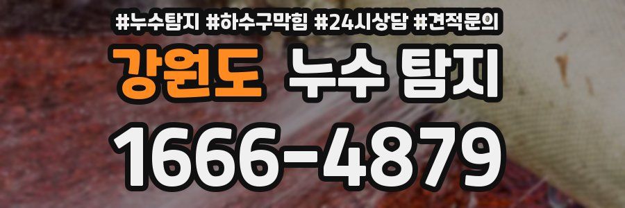 강원도 누수 탐지