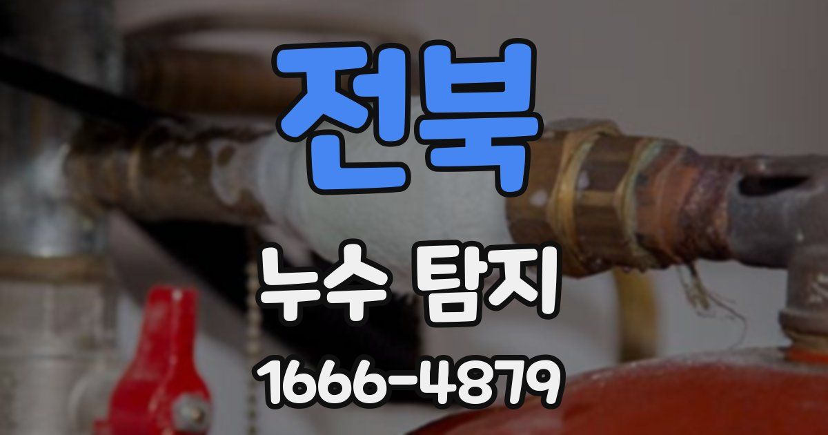 전북 누수 탐지