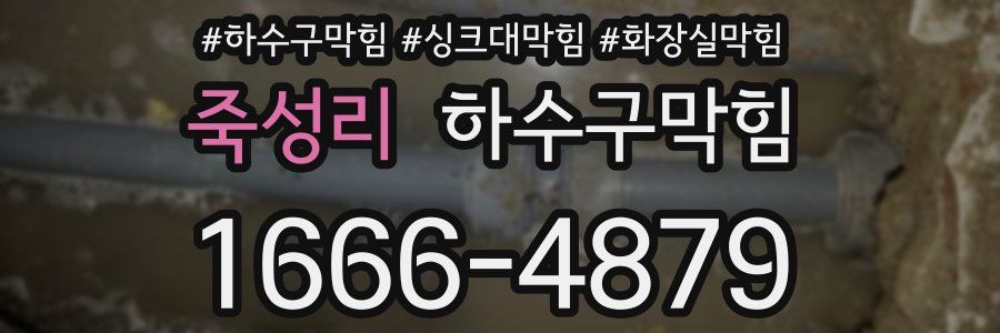 하수구막힘