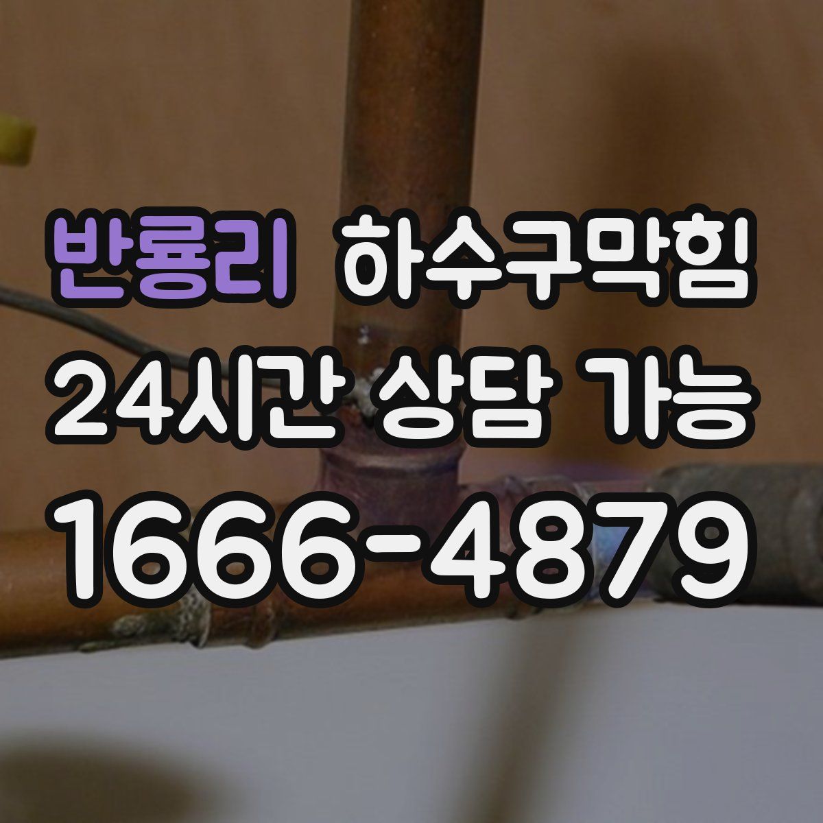 반룡리 하수구막힘