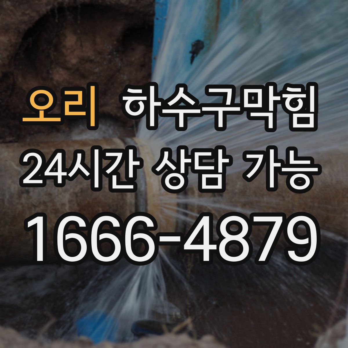 오리 하수구막힘