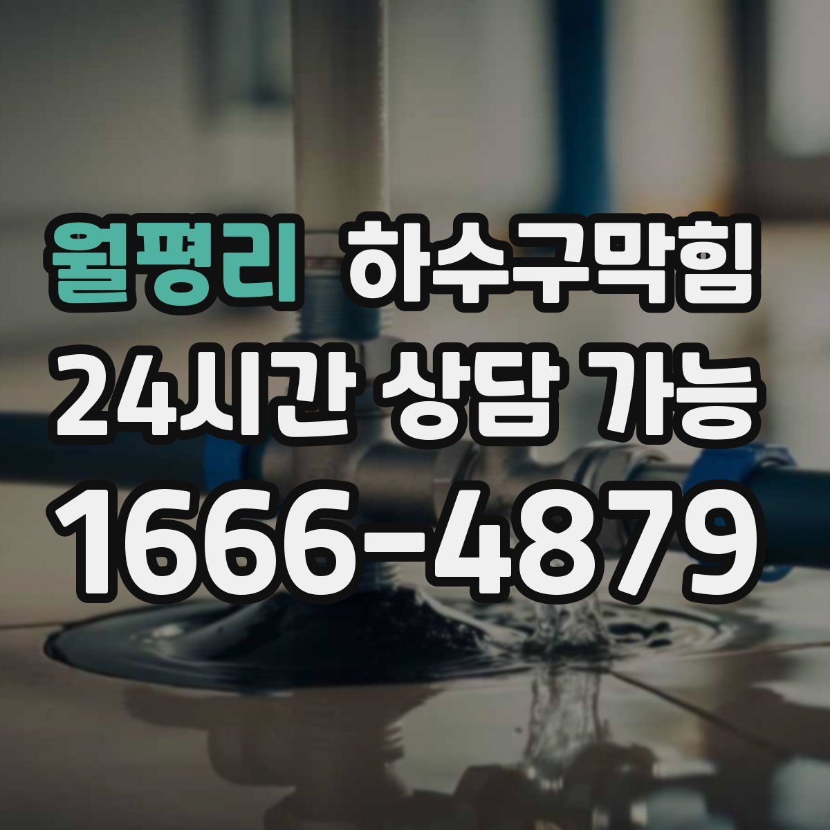 월평리 하수구막힘