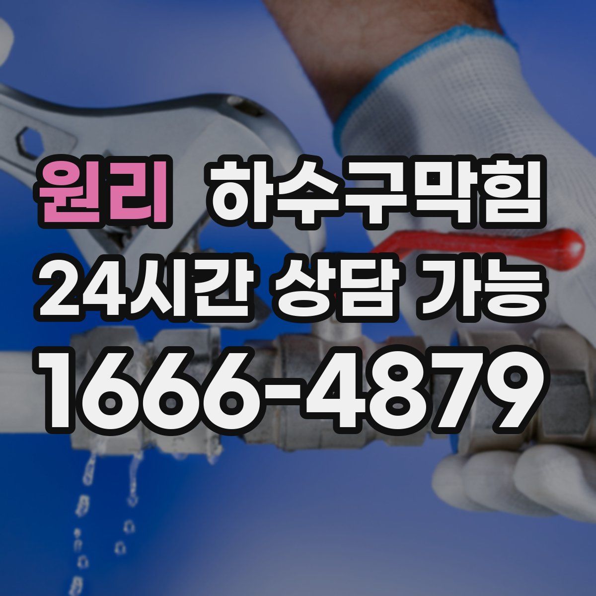 원리 하수구막힘