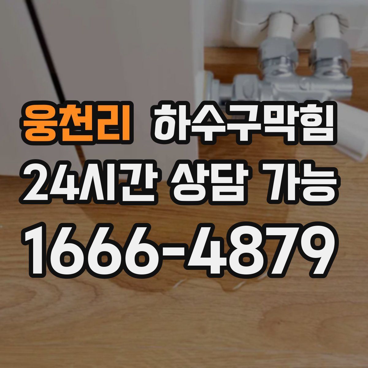 웅천리 하수구막힘