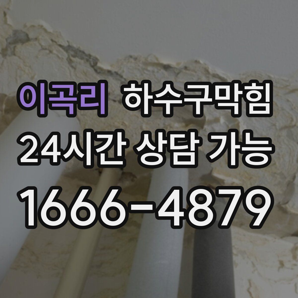 이곡리 하수구막힘