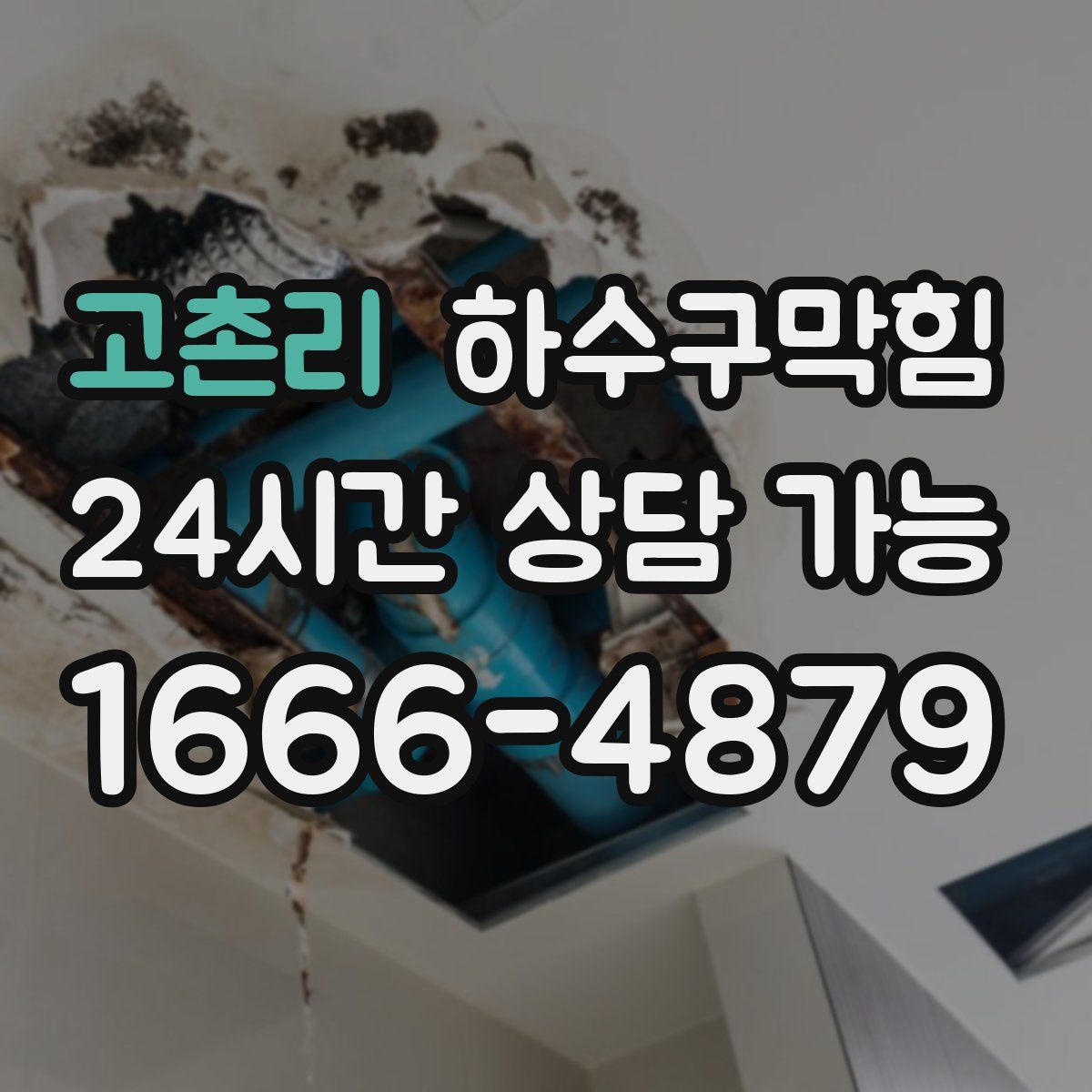 고촌리 하수구막힘