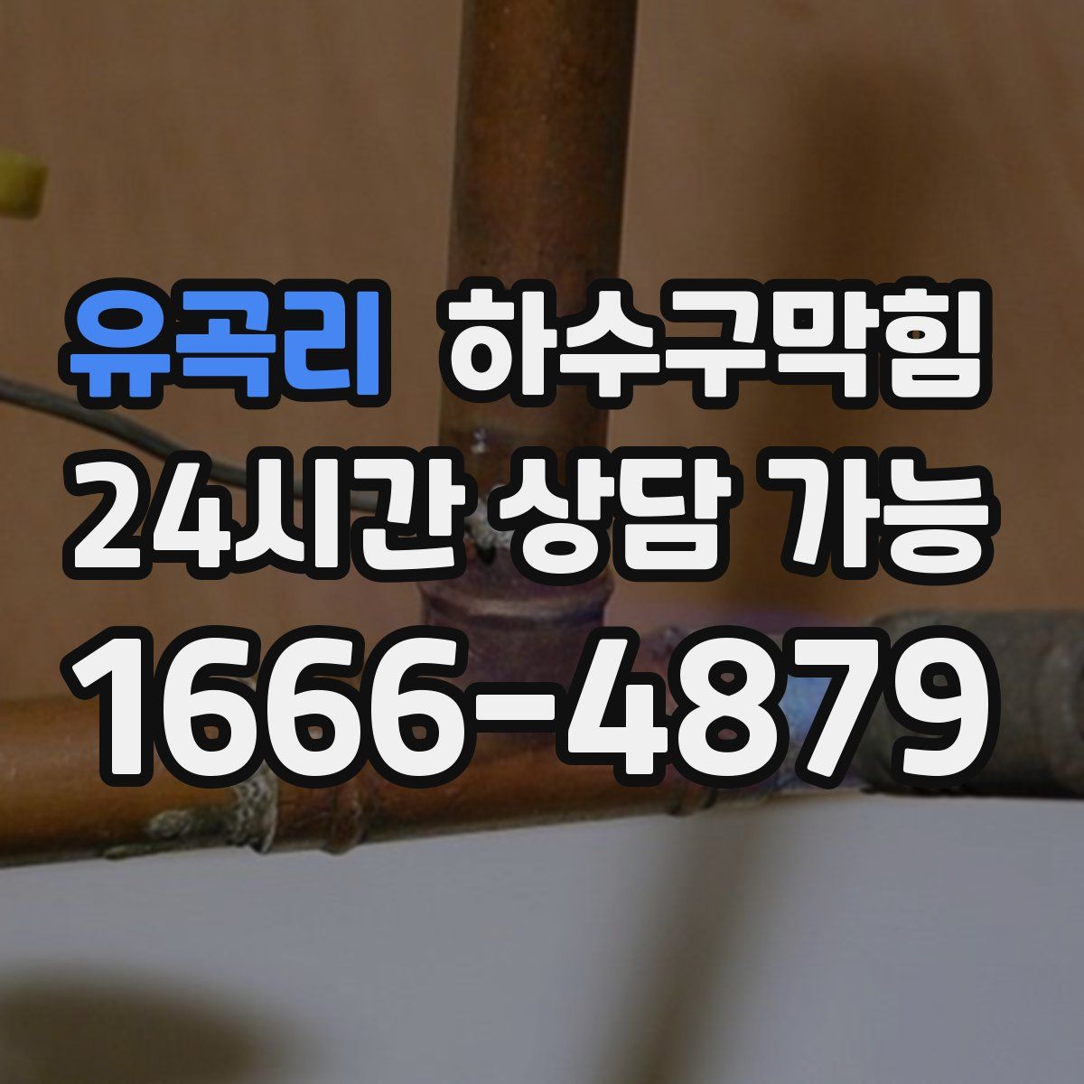 유곡리 하수구막힘