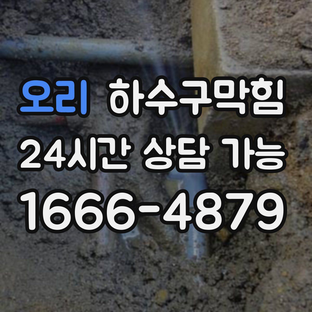 오리 하수구막힘