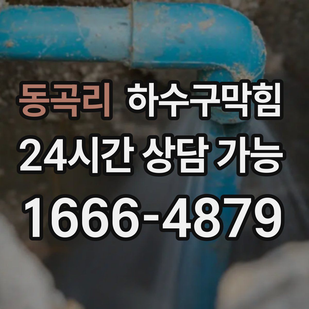 동곡리 하수구막힘