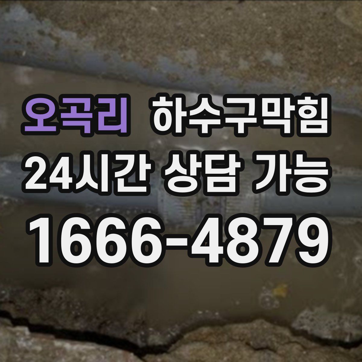 오곡리 하수구막힘