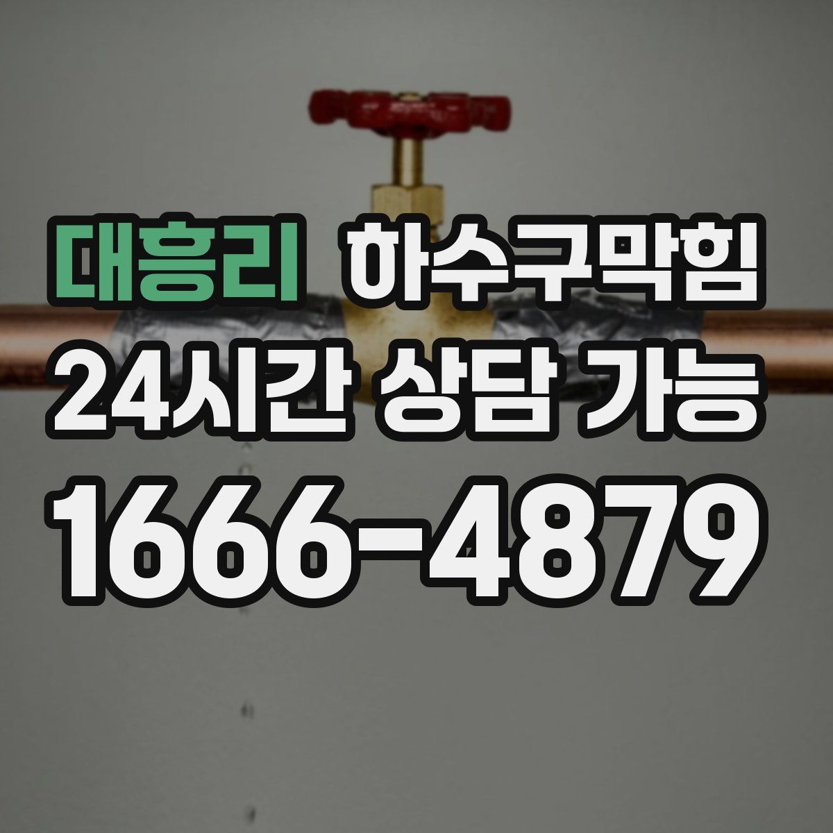 대흥리 하수구막힘