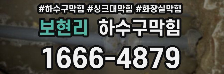 하수구막힘