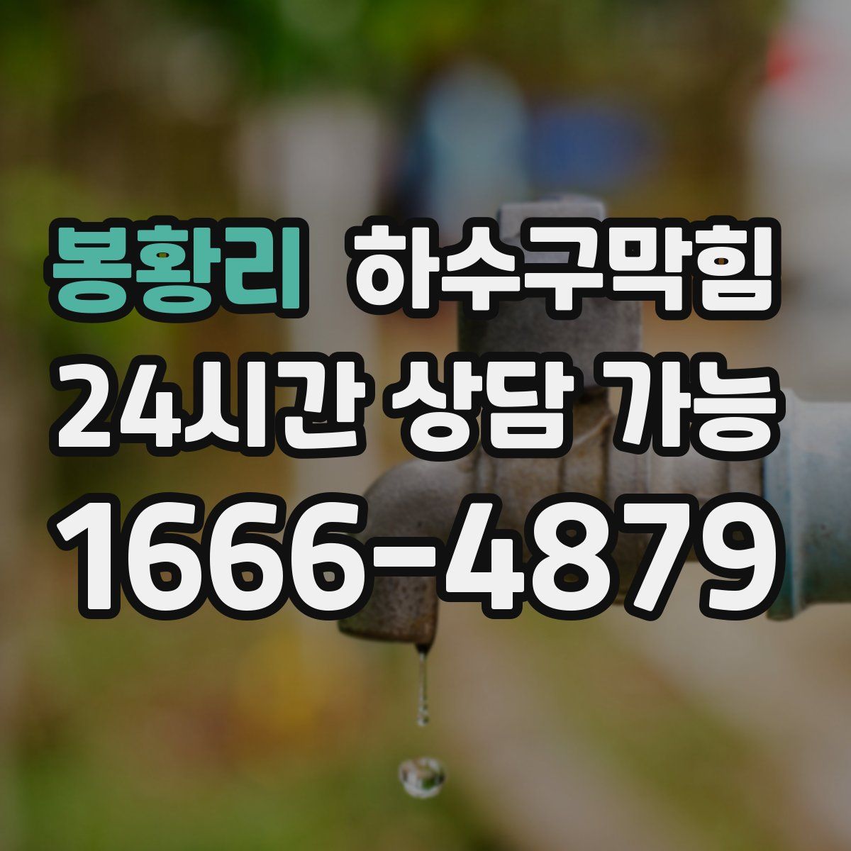 봉황리 하수구막힘