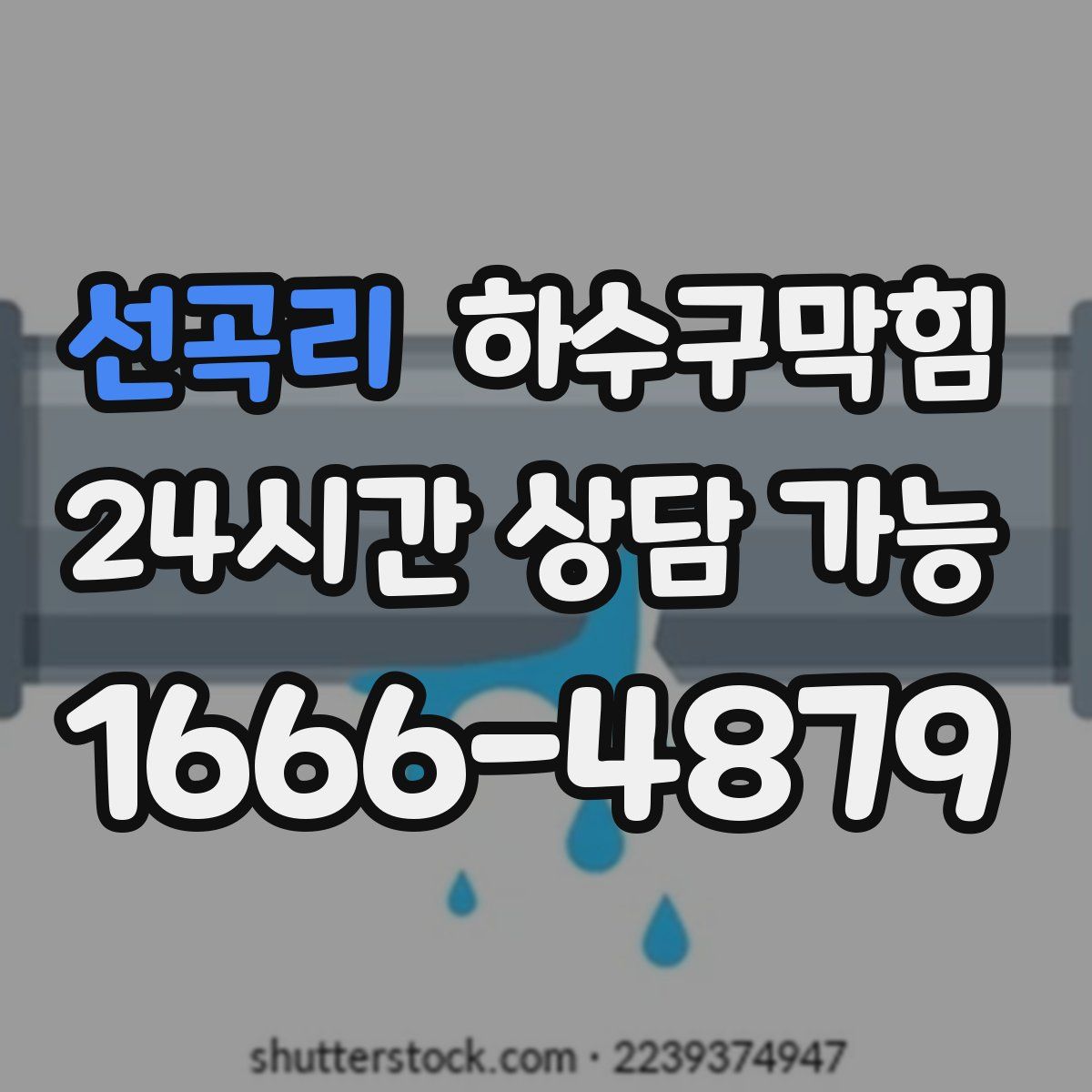 선곡리 하수구막힘