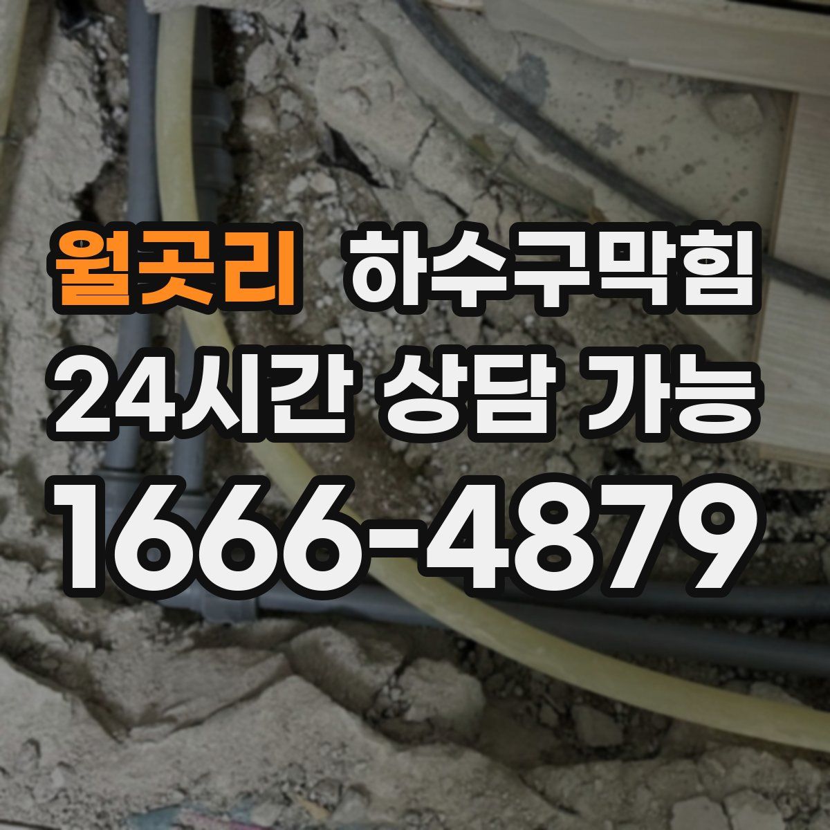 월곳리 하수구막힘