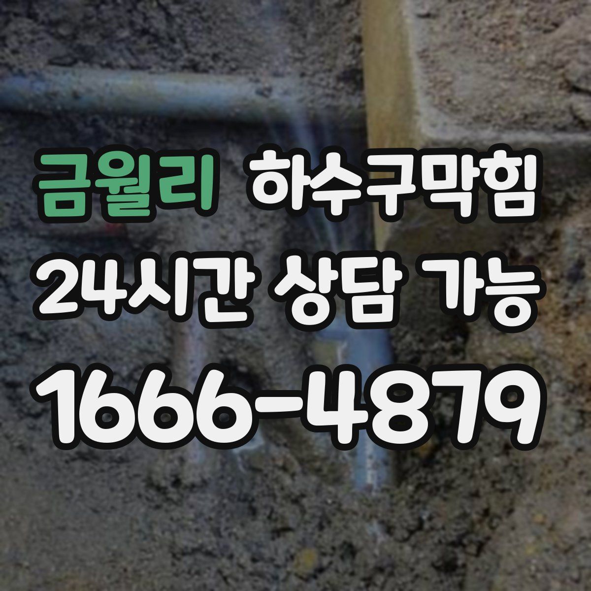 금월리 하수구막힘