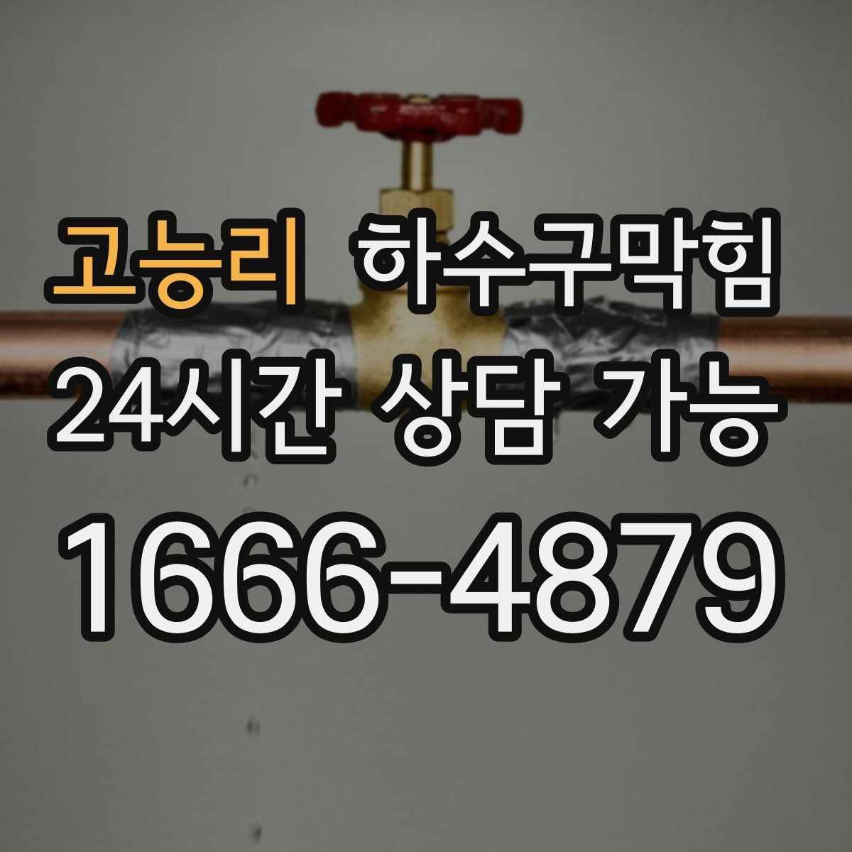 고능리 하수구막힘