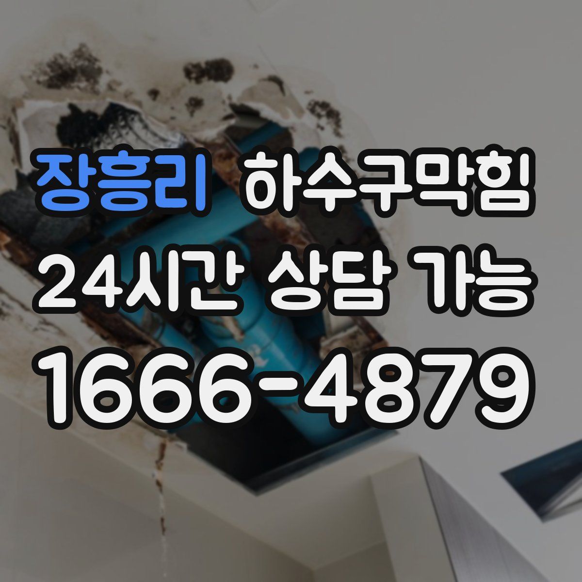 장흥리 하수구막힘