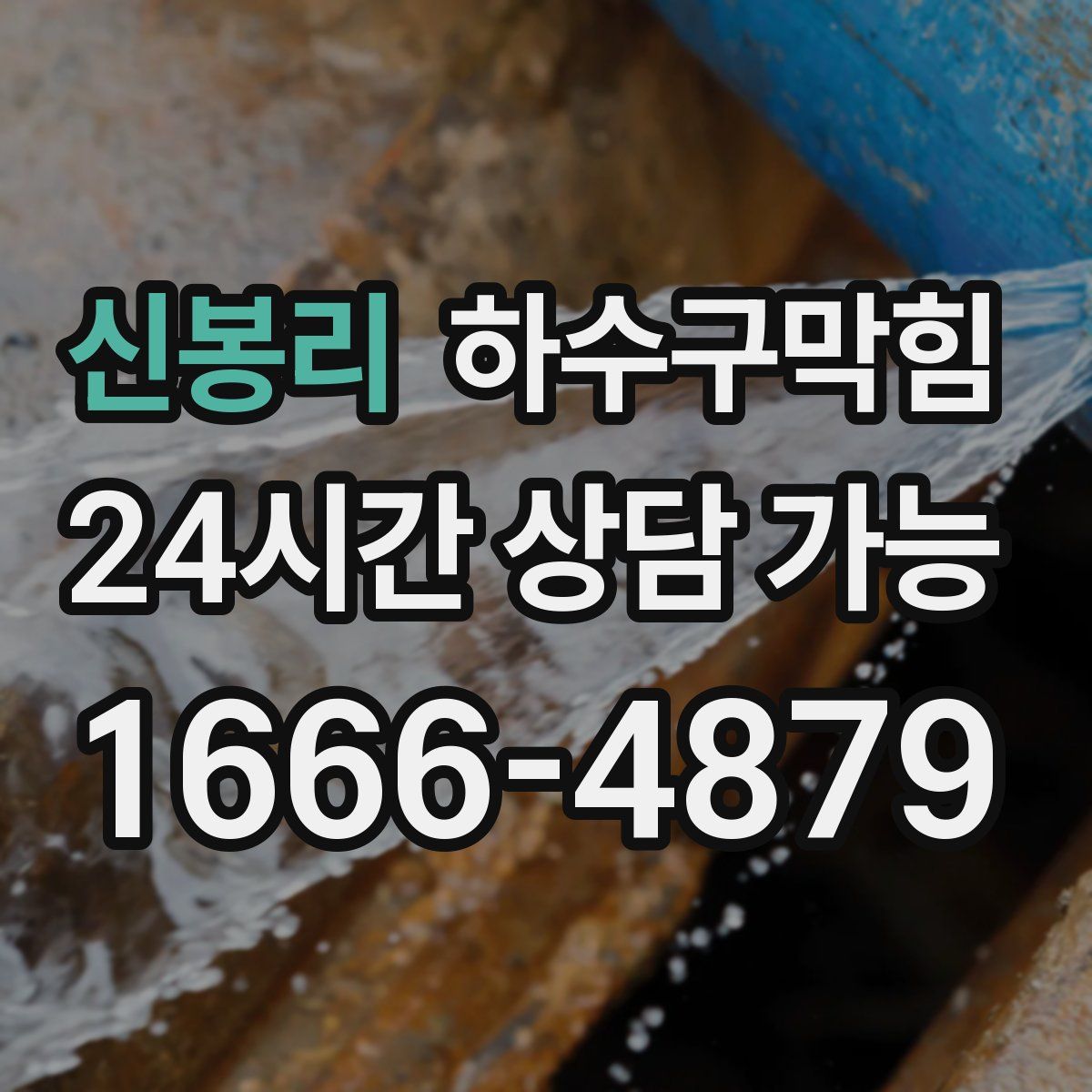 신봉리 하수구막힘