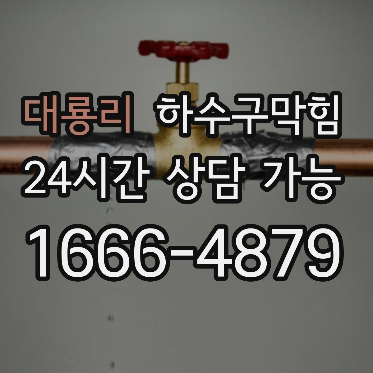 대룡리 하수구막힘