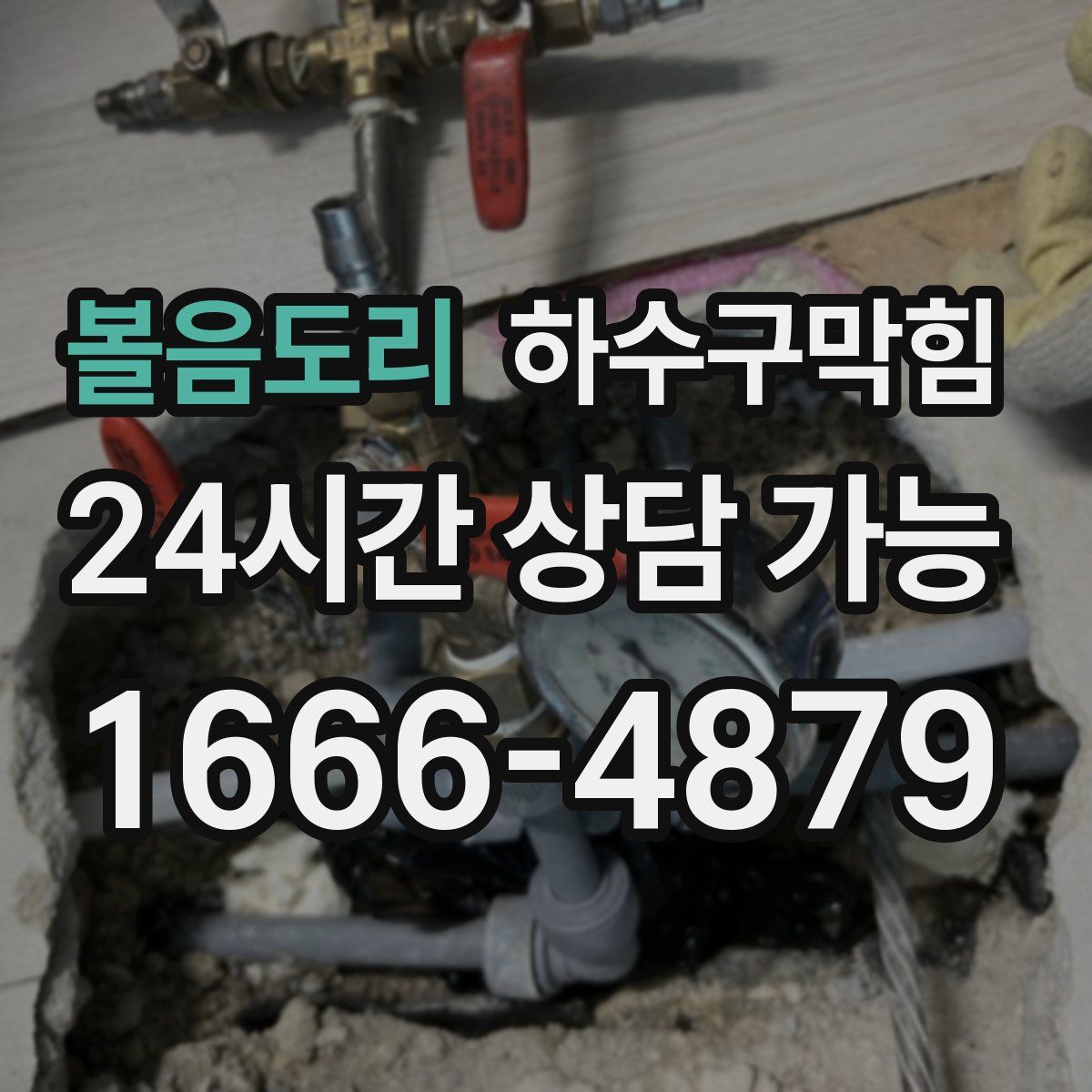 볼음도리 하수구막힘