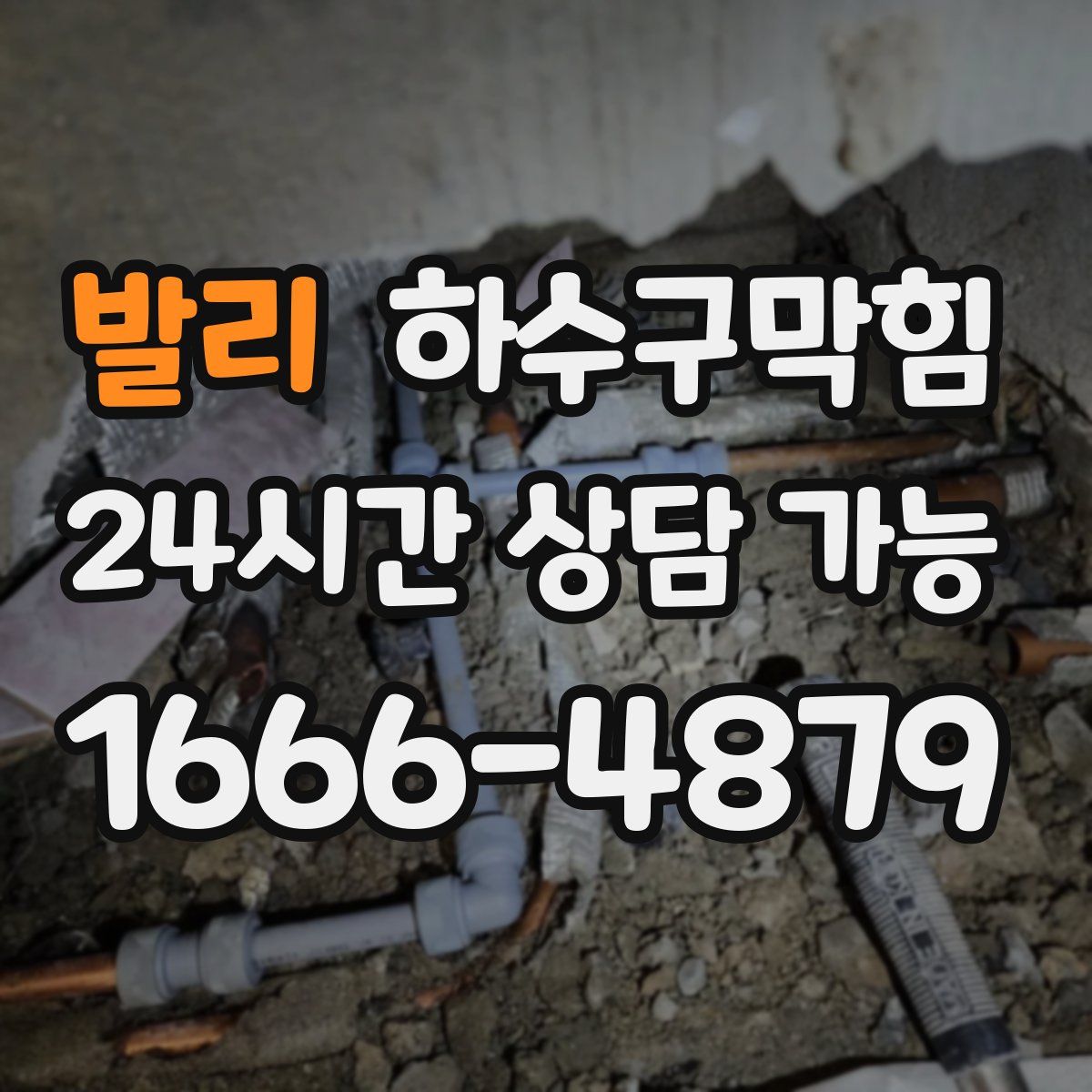 발리 하수구막힘