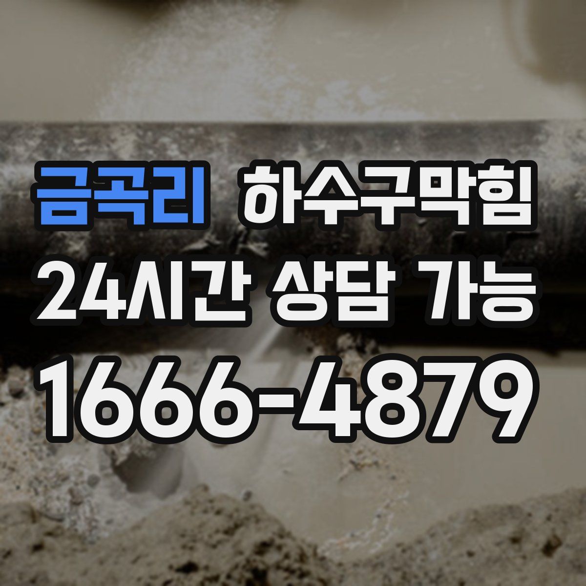 금곡리 하수구막힘