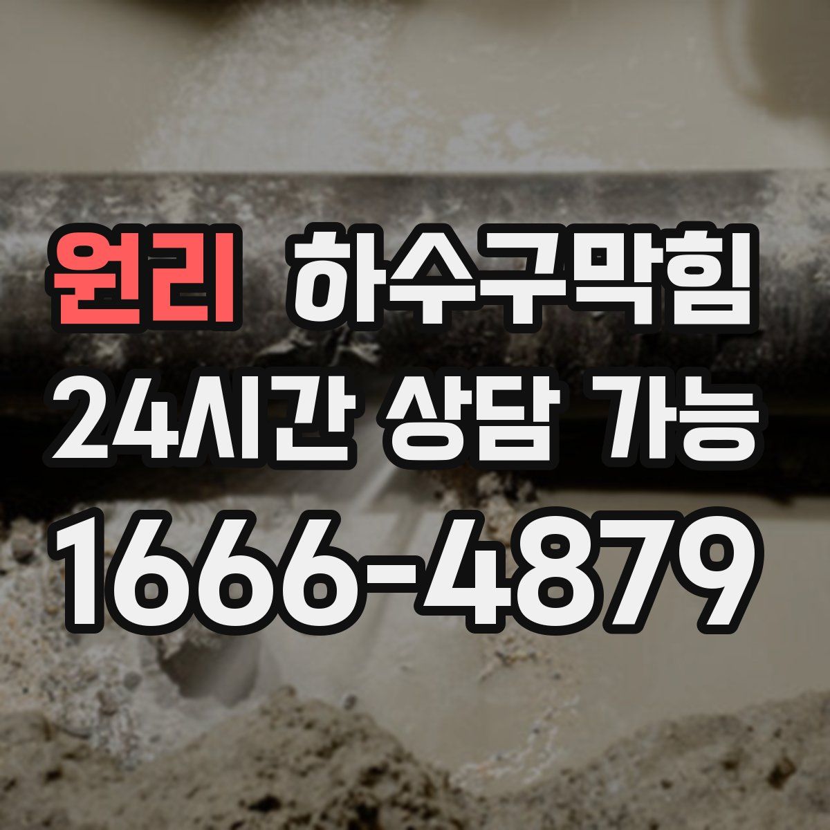 원리 하수구막힘