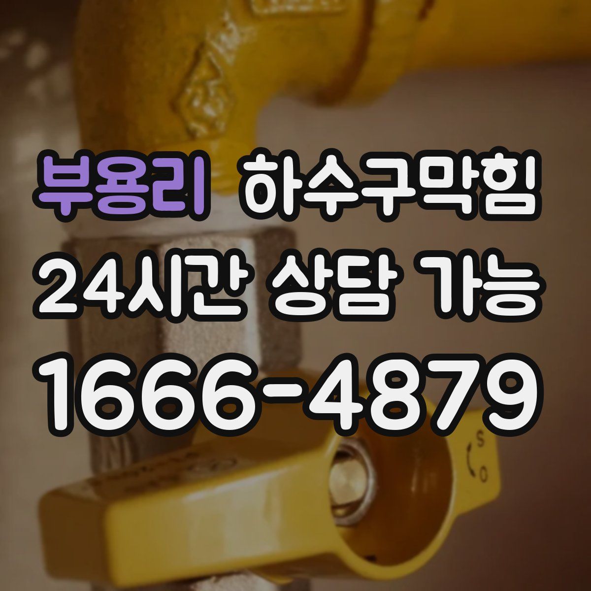 부용리 하수구막힘