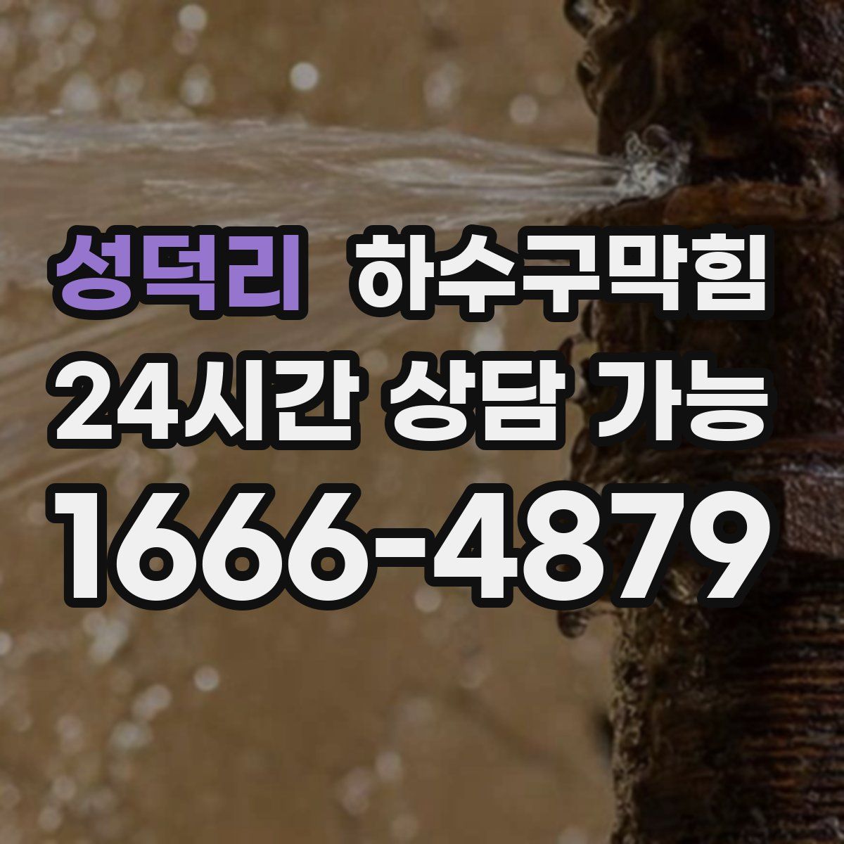 성덕리 하수구막힘