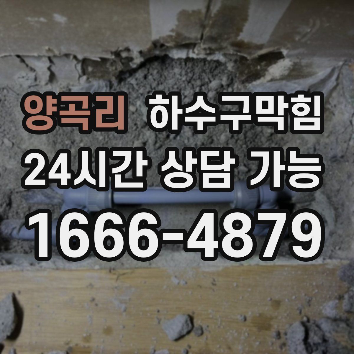 양곡리 하수구막힘