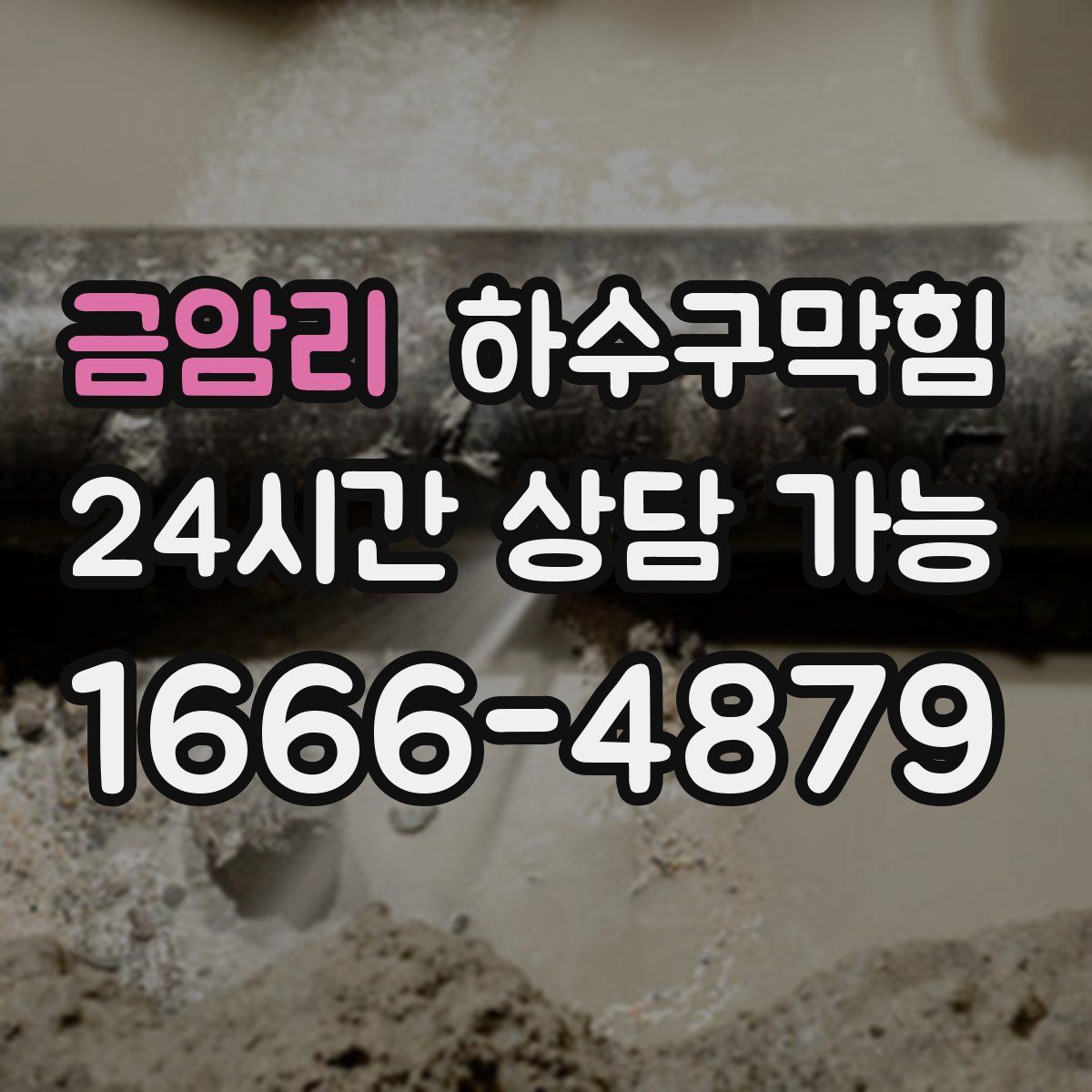 금암리 하수구막힘