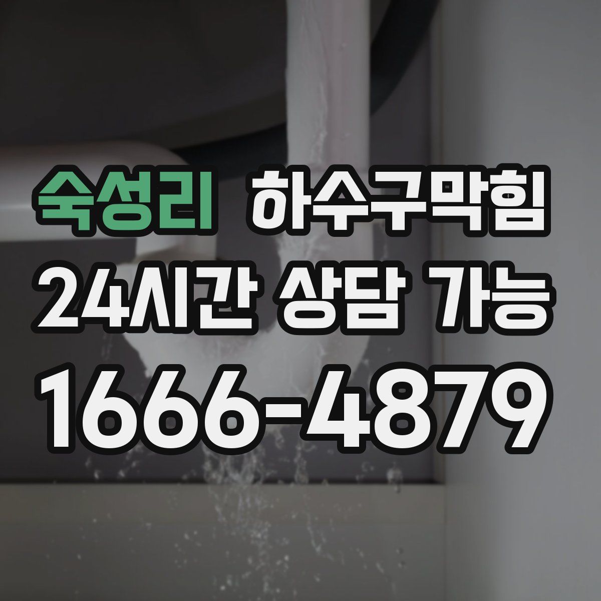 숙성리 하수구막힘