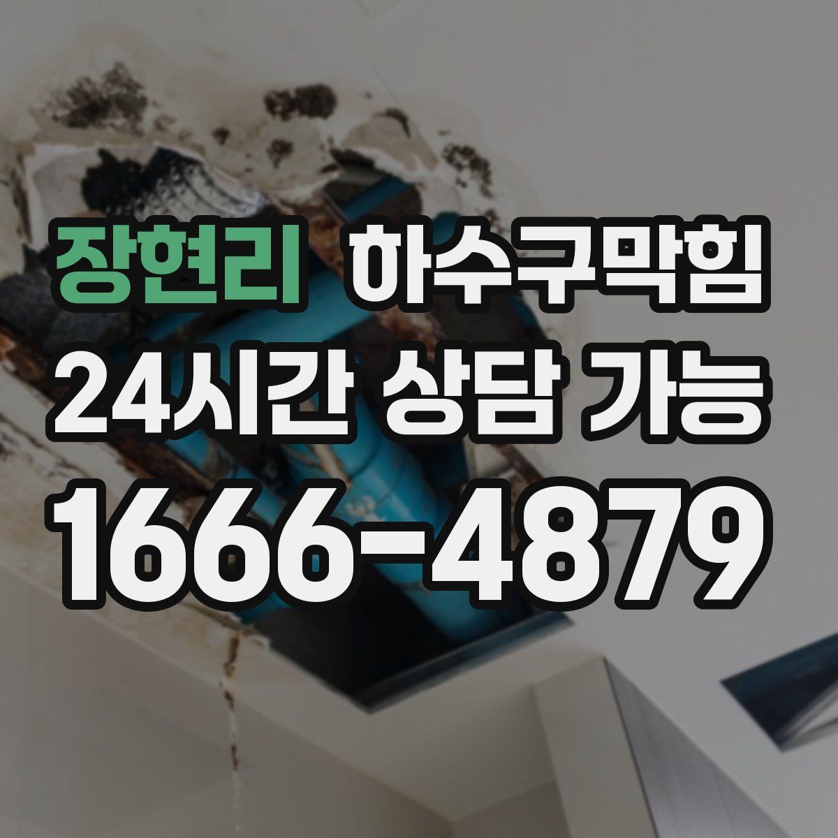 장현리 하수구막힘