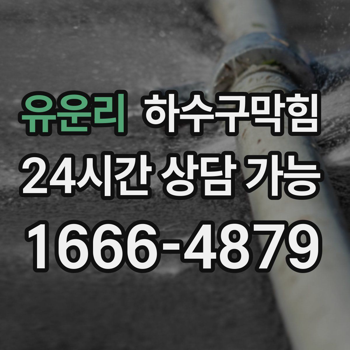 유운리 하수구막힘