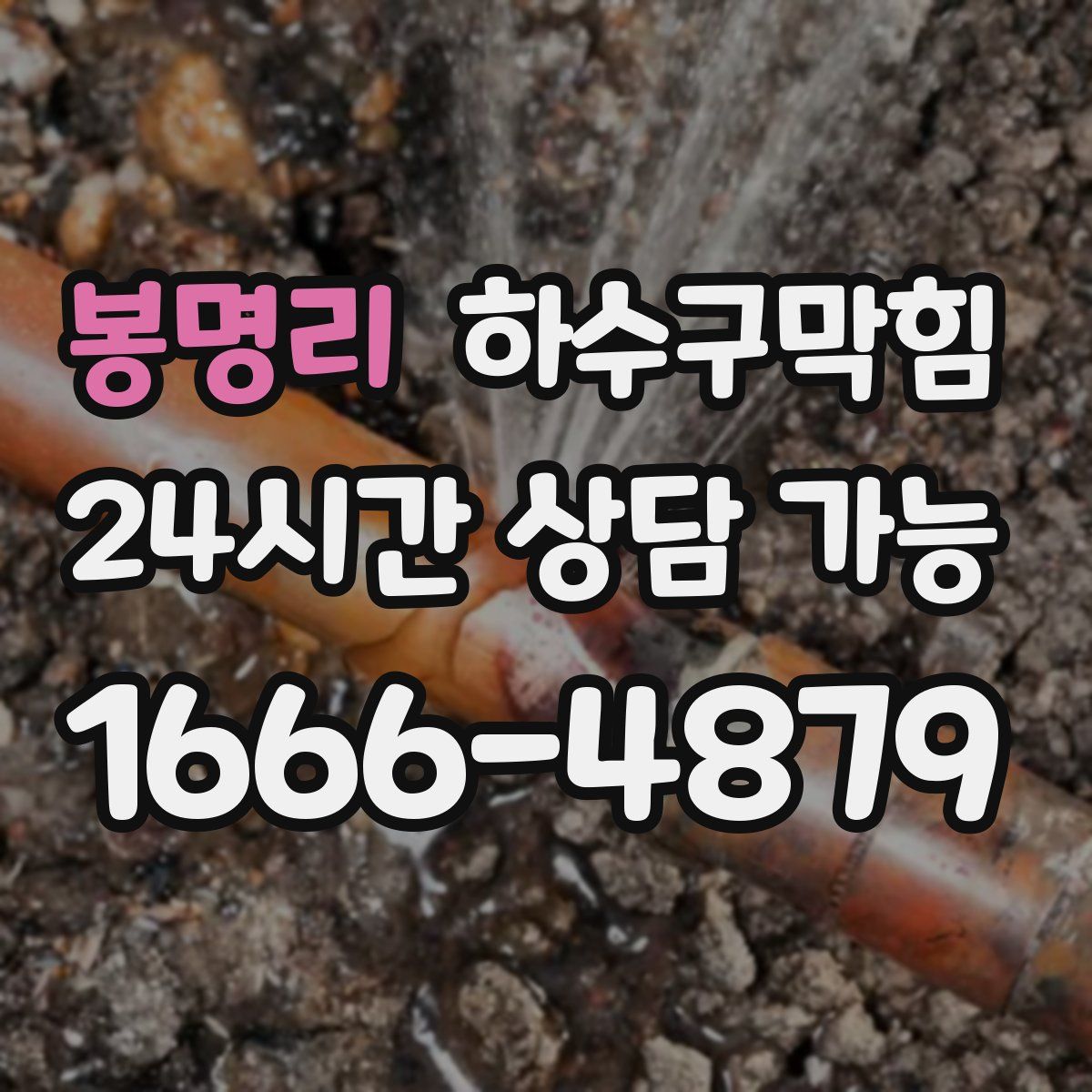 봉명리 하수구막힘