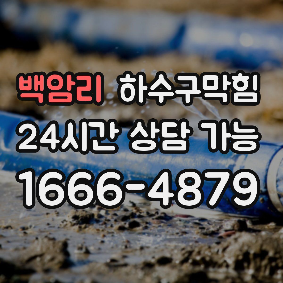 백암리 하수구막힘