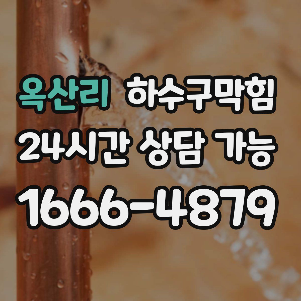 옥산리 하수구막힘