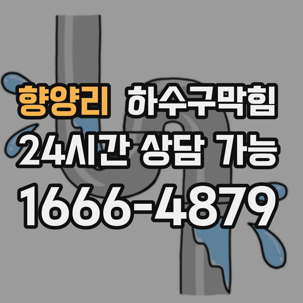 향양리 하수구막힘