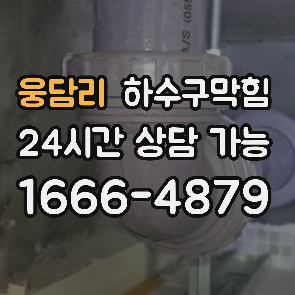 웅담리 하수구막힘