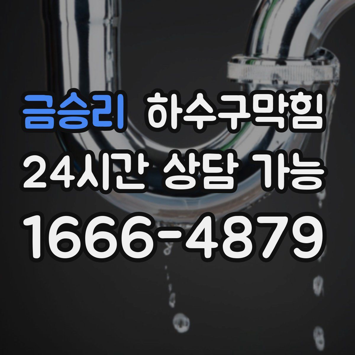 금승리 하수구막힘