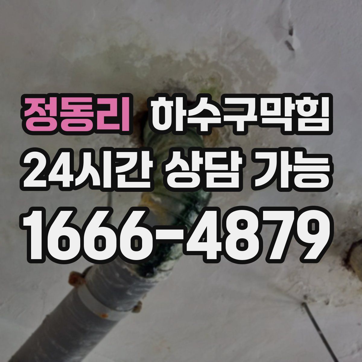 정동리 하수구막힘