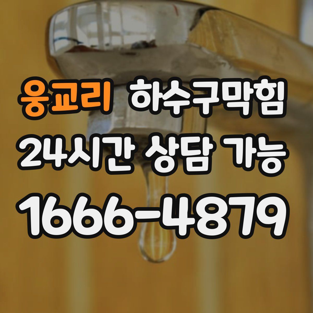 웅교리 하수구막힘