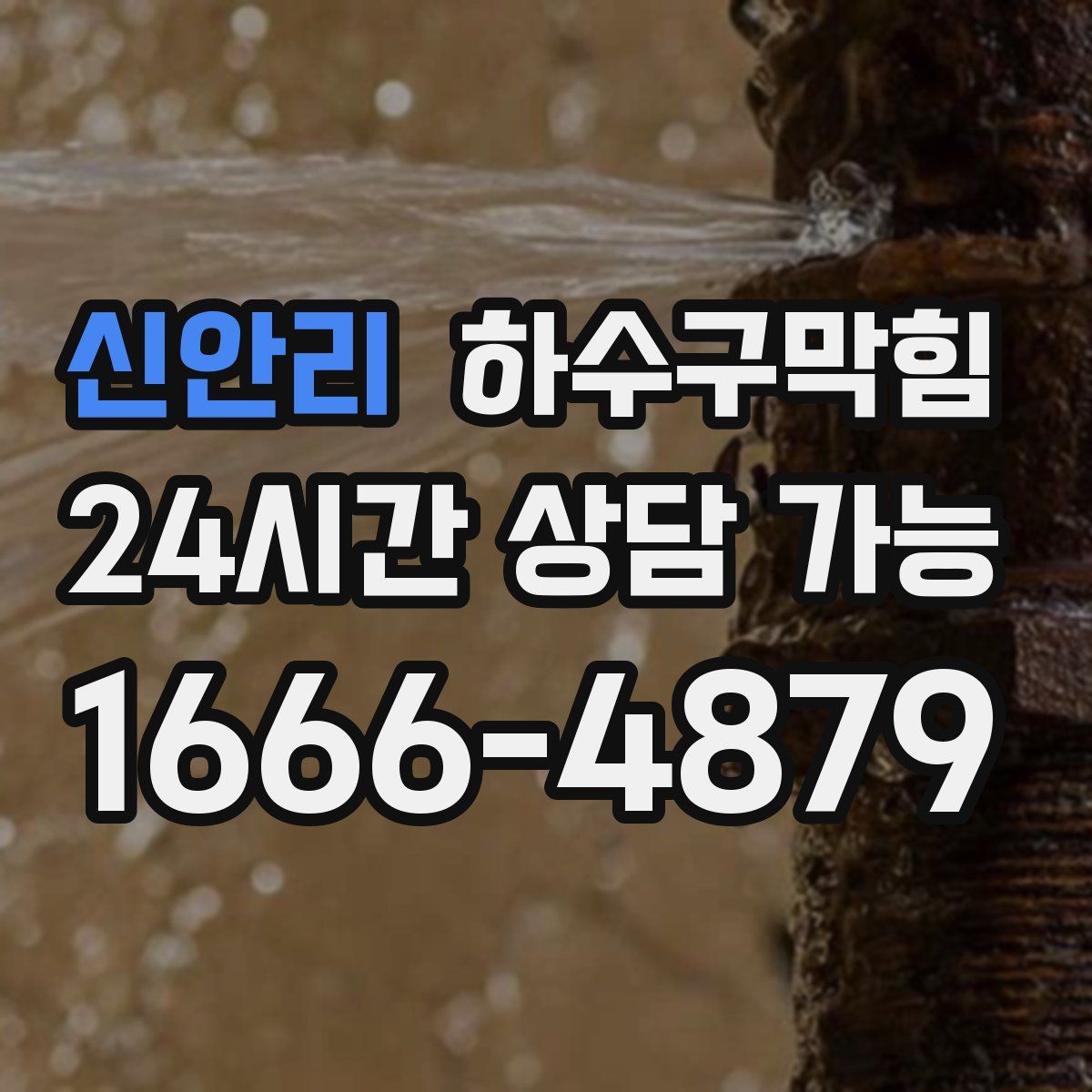 신안리 하수구막힘