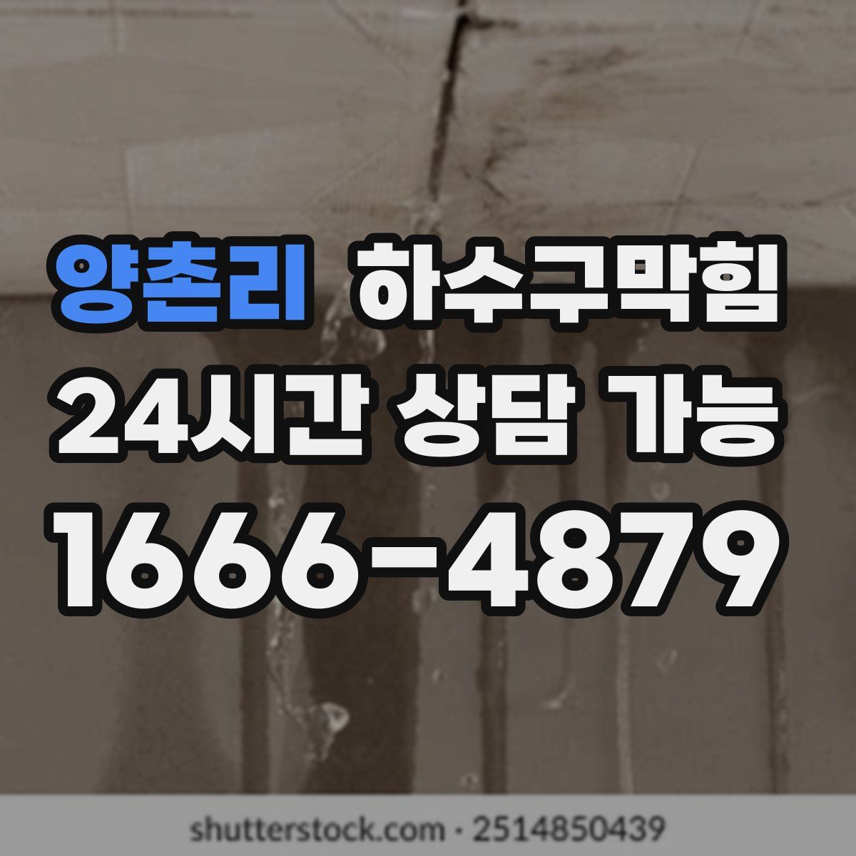 양촌리 하수구막힘